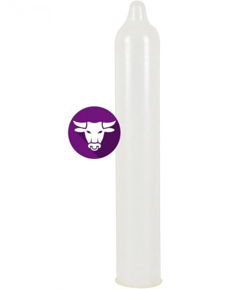 Secura El Toro 12pz 