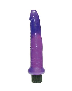 Piccolo Vibratore Anale Viola 